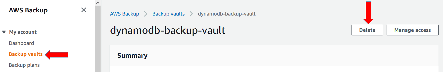 Backup Vault Delete 1