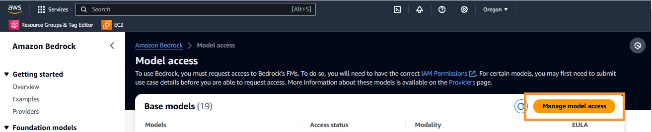 Manage model access
